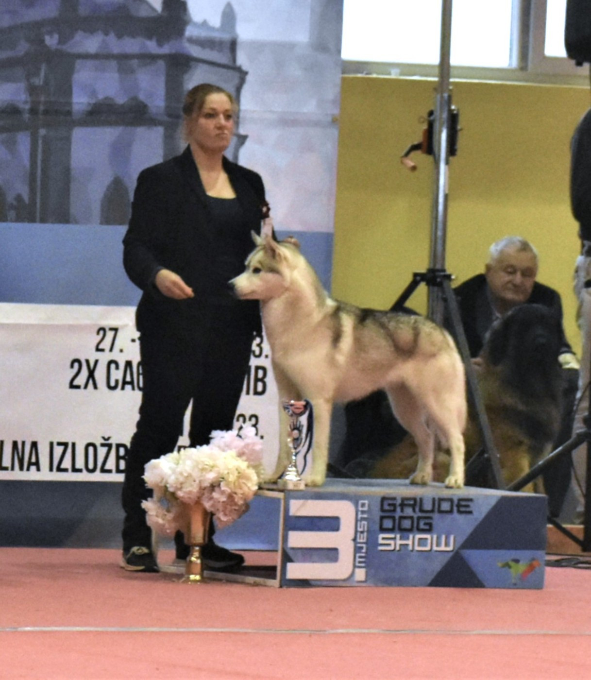 Secret Paradise du chalet des edelweiss